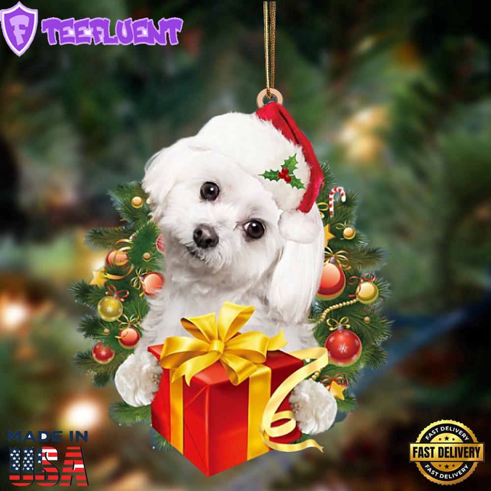 Maltese-Dogs Give Gifts Hanging Ornament, Gift For Christmas