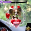 Papillon With Rose & Heart Balloon Ornament, Gift For Christmas