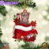 Patterdale Terrier In Gift Bag Christmas Ornament, Gift For Christmas