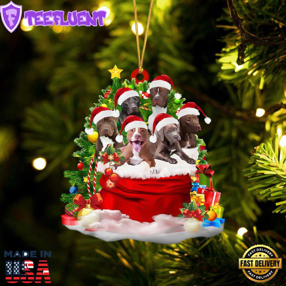 Pit Bull Dogs In A Gift Bag Christmas Ornament, Gift For Christmas