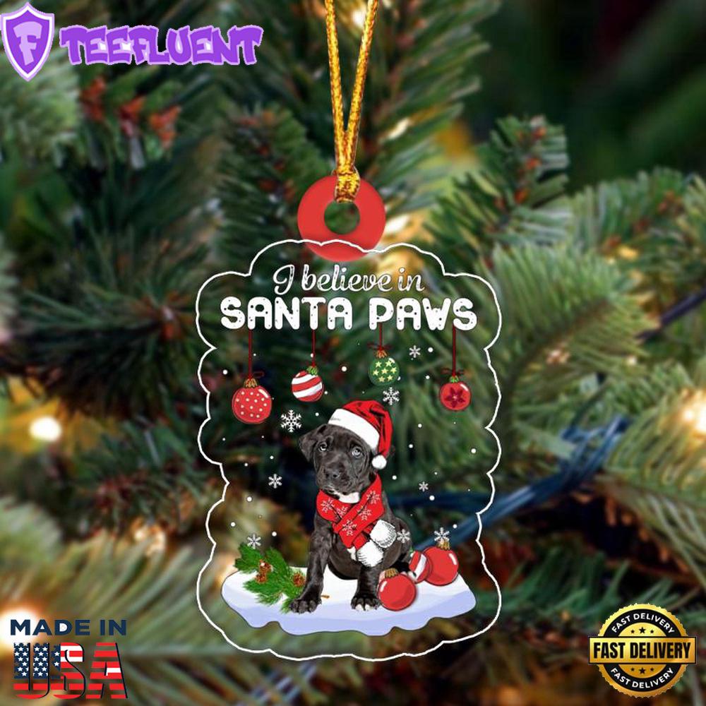 Pitbull 2 Christmas Ornament, Gift For Christmas