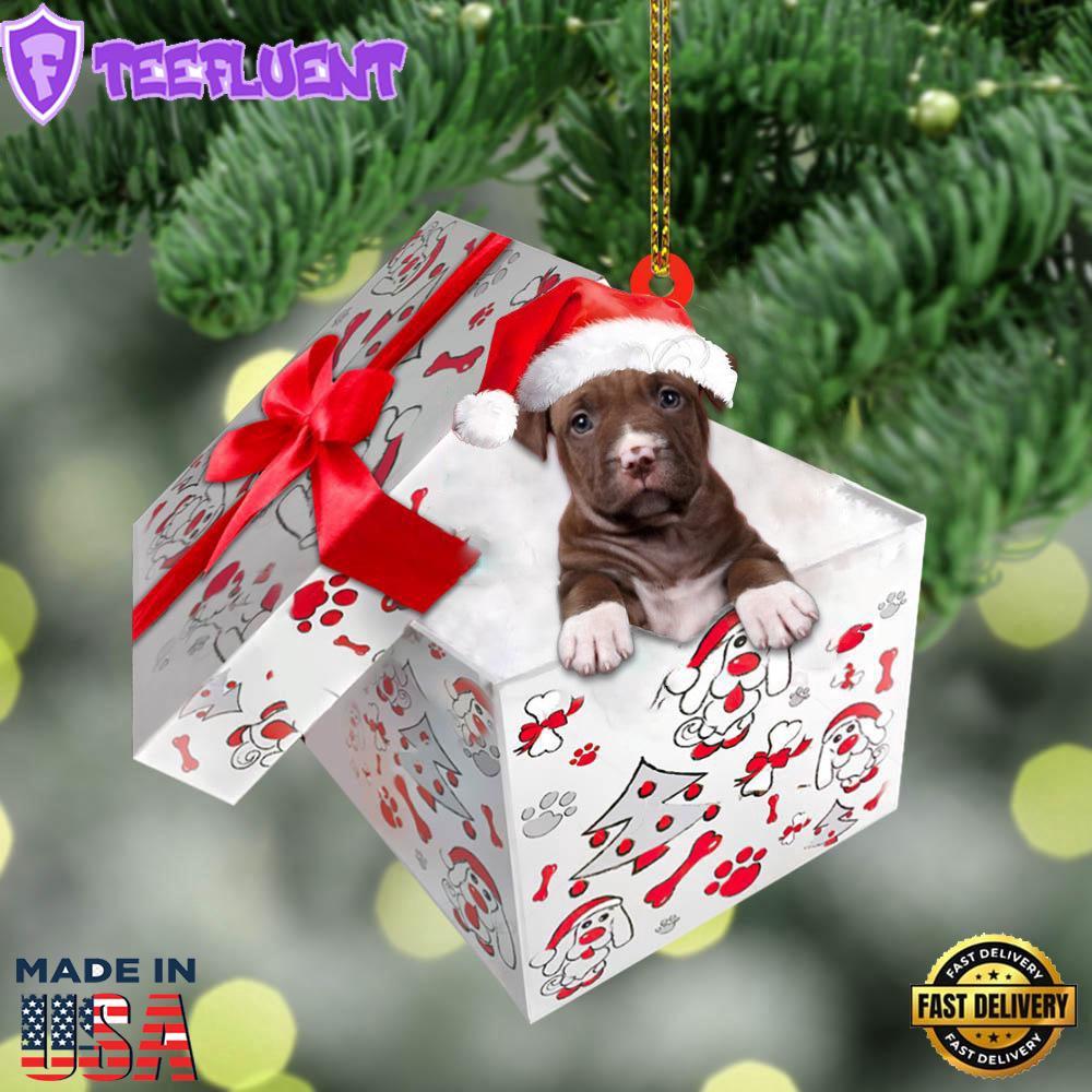 Pit-Bull In Gift Box Christmas Ornament, Gift For Christmas