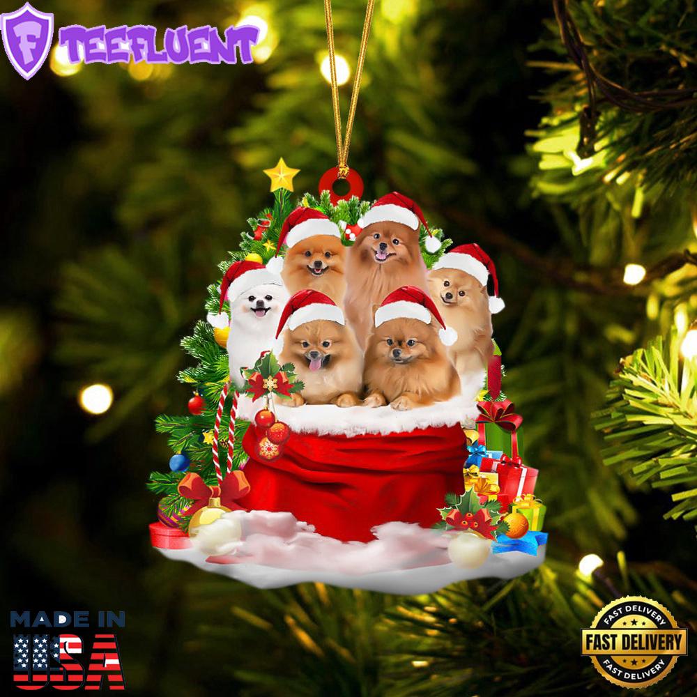 Pomeranian Dogs In A Gift Bag Christmas Ornament, Gift For Christmas