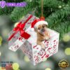 Puggle In Gift Box Christmas Ornament, Gift For Christmas