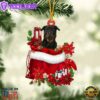 Rottweiler 2 In Gift Bag Christmas Ornament, Gift For Christmas