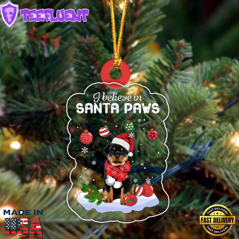 Rottweiler Hooded Christmas Ornament, Gift For Christmas