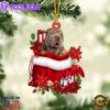 Shar Pei In Gift Bag Christmas Ornament, Gift For Christmas