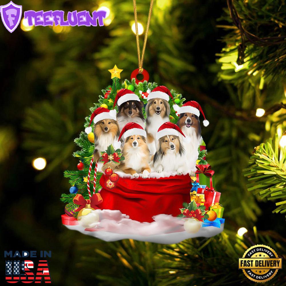 Shetland Sheepdog Dogs In A Gift Bag Christmas Ornament, Gift For Christmas