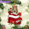 Shetland Sheepdog In Gift Bag Christmas Ornament, Gift For Christmas