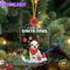 Teddy Bear Dog Christmas Ornament, Gift For Christmas